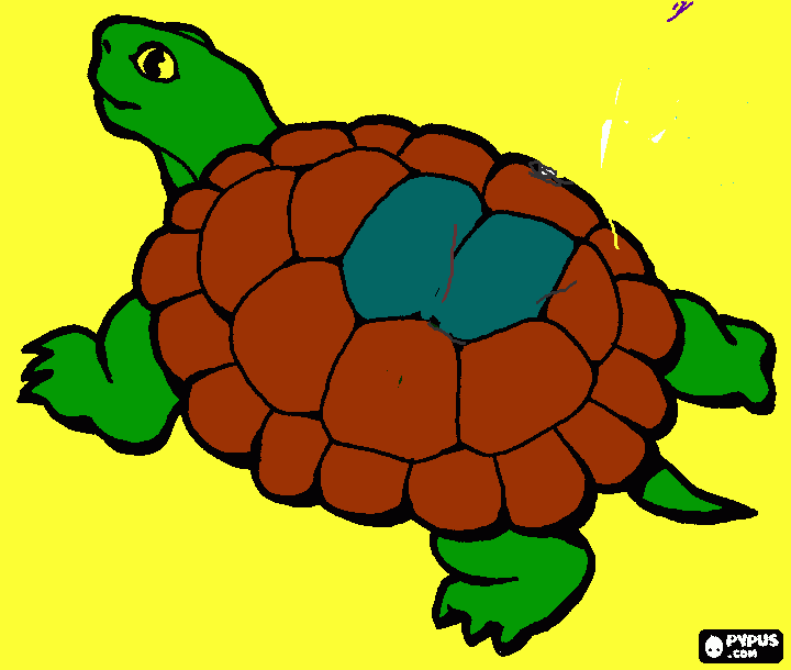 Omalovánka Zdendova zelvicka