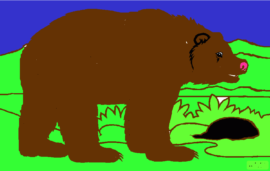 Omalovánka Zdenduv medved cislo 2