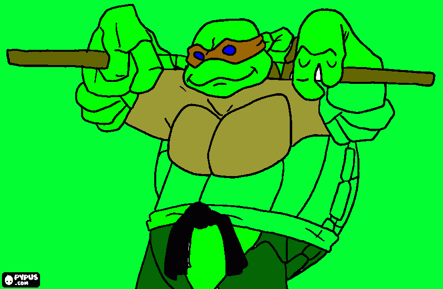 Omalovánka zelva ninja