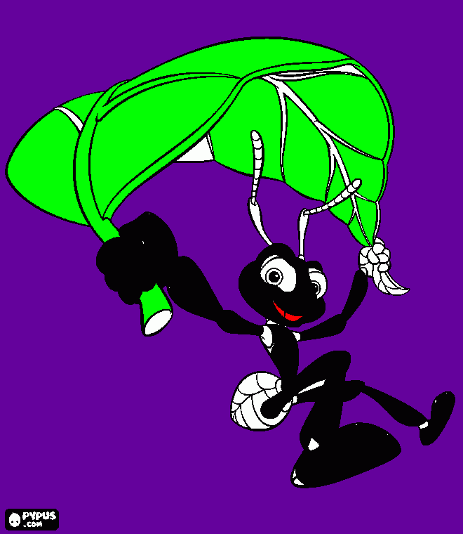 Omalovánka zivod  brouka