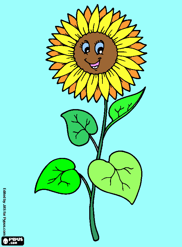 Omalovánka zlatá květinka