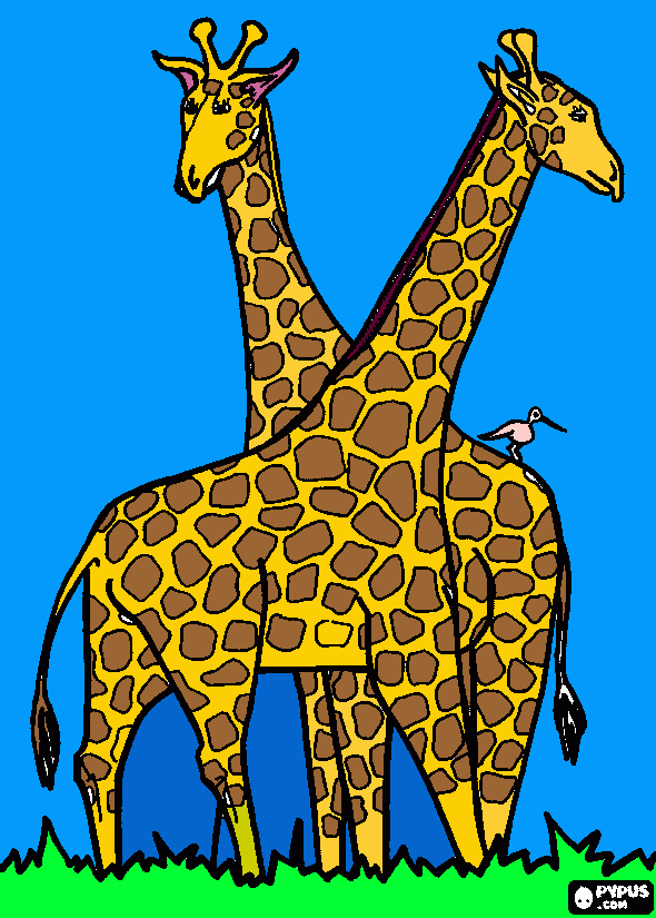 Omalovánka žirafy
